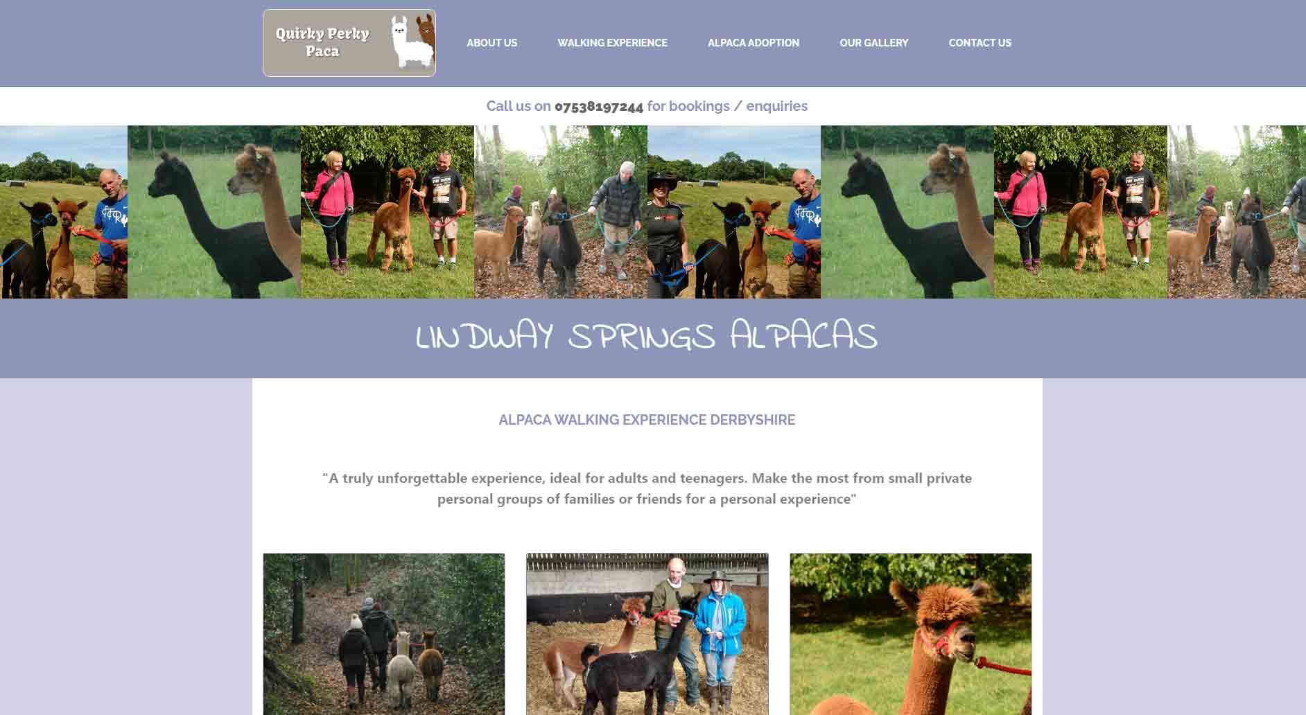 Lindway Springs Alpacas - by Cecil Web Designs