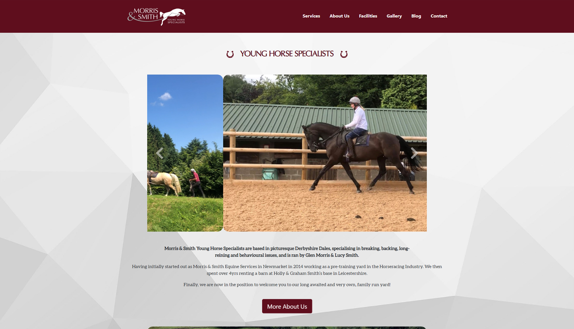 Young Horse Specialists - by Cecil Web Designs